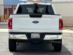 2023 F-150 Thumbnail 5