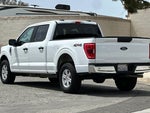 2023 F-150 Thumbnail 6