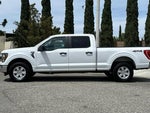 2023 F-150 Thumbnail 7