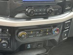 2023 F-150 Thumbnail 19