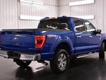 2023 F-150 Thumbnail 7