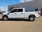 2023 F-150 Thumbnail 2