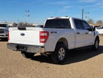 2023 F-150 Thumbnail 5