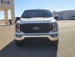 2023 F-150 Thumbnail 8