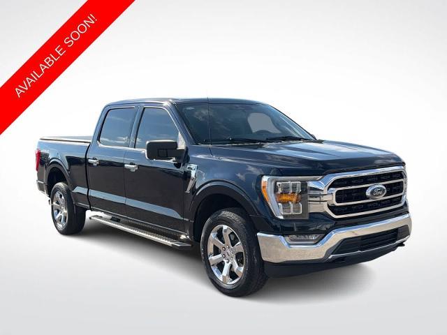 2023 Ford F-150 King Ranch — photo 1 of 24