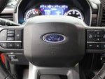 2023 F-150 Thumbnail 12