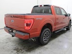 2023 F-150 Thumbnail 18