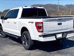 2023 F-150 Thumbnail 12