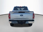 2023 F-150 Thumbnail 7