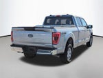 2023 F-150 Thumbnail 11