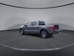2023 F-150 Thumbnail 6