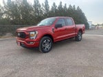 2023 F-150 Thumbnail 2