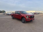 2023 F-150 Thumbnail 9