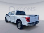 2023 F-150 Thumbnail 11