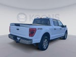 2023 F-150 Thumbnail 13