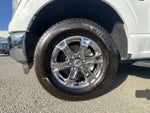 2023 F-150 Thumbnail 17