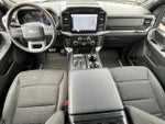 2023 F-150 Thumbnail 3