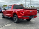 2023 F-150 Thumbnail 14