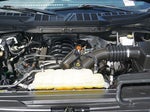 2023 F-150 Thumbnail 8
