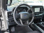 2023 F-150 Thumbnail 19