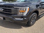 2023 F-150 Thumbnail 8