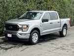 2023 F-150 Thumbnail 3