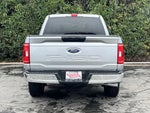 2023 F-150 Thumbnail 6