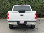 2023 F-150 Thumbnail 6