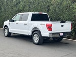2023 F-150 Thumbnail 8