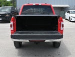 2023 F-150 Thumbnail 5