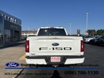 2023 F-150 Thumbnail 7