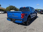 2021 F-150 Thumbnail 4