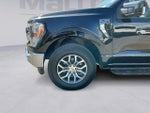 2021 F-150 Thumbnail 9