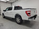 2021 F-150 Thumbnail 4