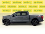 2021 F-150 Thumbnail 8
