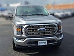 2021 F-150 Thumbnail 4