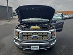 2021 F-150 Thumbnail 25