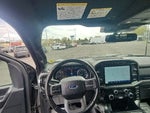 2021 F-150 Thumbnail 2