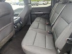 2021 F-150 Thumbnail 11