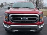 2021 F-150 Thumbnail 16