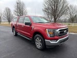 2021 F-150 Thumbnail 18