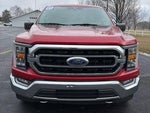 2021 F-150 Thumbnail 16