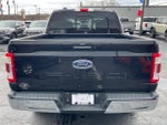 2021 F-150 Thumbnail 6