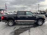 2021 F-150 Thumbnail 7