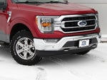 2021 F-150 Thumbnail 4