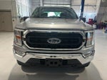 2021 F-150 Thumbnail 2