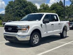 2021 F-150 Thumbnail 3