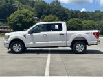 2021 F-150 Thumbnail 4