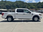 2021 F-150 Thumbnail 8