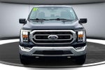 2021 F-150 Thumbnail 2